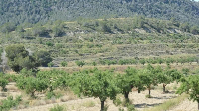 Аликанте - Orihuela - 407000m2