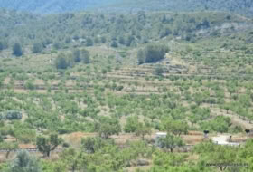 Orihuela 407000&nbsp;m²