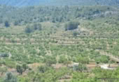 Non-developable land for sale on España, Orihuela, ref: TR280561 photo