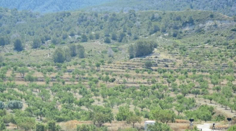 Аликанте - Orihuela - 407000m2