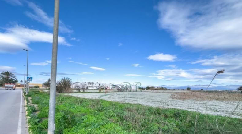 Alicante - Дайя-Вьеха - 39800m2