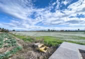 Parcel·la urbanitzable en venda a la España, Daia Vella, ref.: TR377002 foto