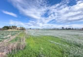 Parcel·la urbanitzable en venda a la España, Daia Vella, ref.: TR377002 foto