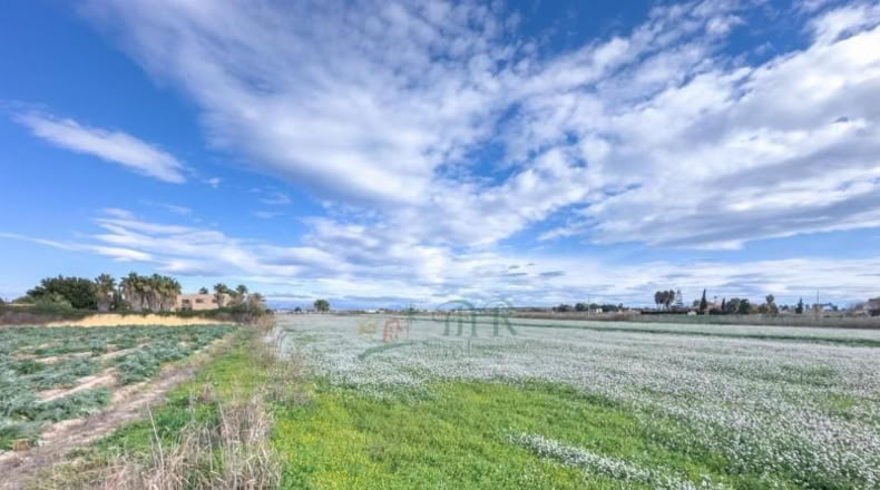 Alicante - Дайя-Вьеха - 39800m2