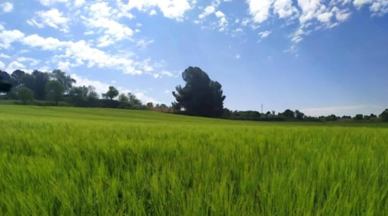 Comunidad de Madrid - Villarejo de Salvanés - 318m2