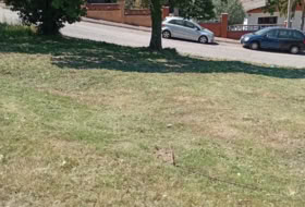 Maçanet de la Selva 900&nbsp;m²