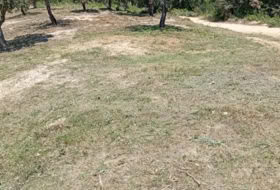 Maçanet de la Selva 900&nbsp;m²