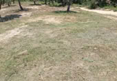 Land suitable for development for sale on Carrer de Sant Marc, Maçanet de la Selva, ref: TR405718 photo
