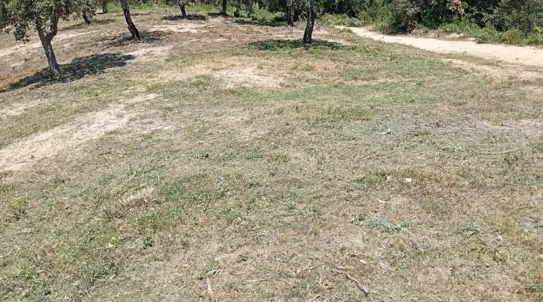 Gerona - Maçanet de la Selva - 900m2