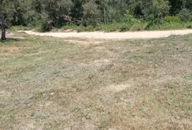 Maçanet de la Selva 900&nbsp;m²