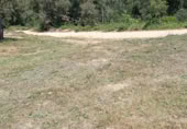 Land suitable for development for sale on Carrer de Sant Marc, Maçanet de la Selva, ref: TR405718 photo