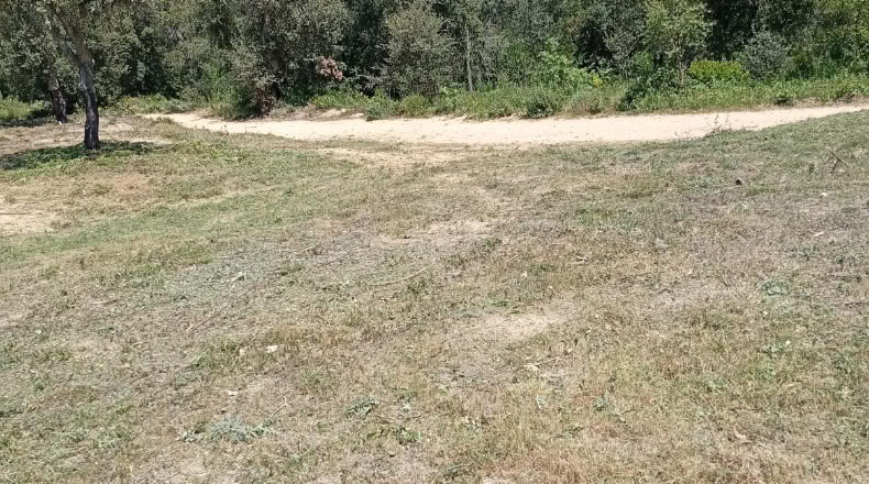 Gerona - Maçanet de la Selva - 900m2