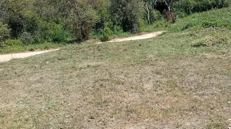 Gerona - Maçanet de la Selva - 900m2