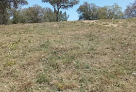 Maçanet de la Selva 900&nbsp;m²