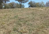 Land suitable for development for sale on Carrer de Sant Marc, Maçanet de la Selva, ref: TR405718 photo