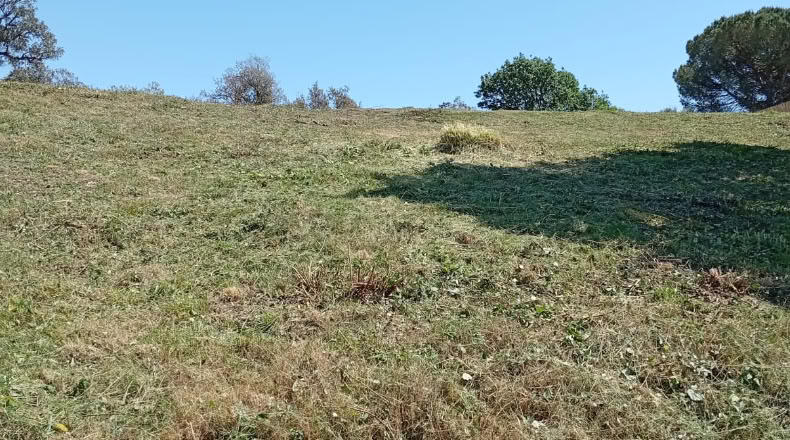 Gerona - Maçanet de la Selva - 900m2