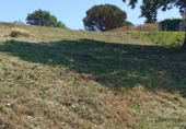 Land suitable for development for sale on Carrer de Sant Marc, Maçanet de la Selva, ref: TR405718 photo