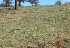Maçanet de la Selva 900&nbsp;m²