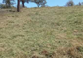 Land suitable for development for sale on Carrer de Sant Marc, Maçanet de la Selva, ref: TR405718 photo