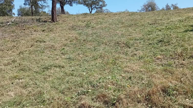Gerona - Maçanet de la Selva - 900m2