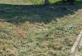 Maçanet de la Selva 900&nbsp;m²