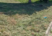 Land suitable for development for sale on Carrer de Sant Marc, Maçanet de la Selva, ref: TR405718 photo