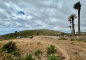 Suelo urbano en venta en la España, Ingenio, ref: TR405746 foto