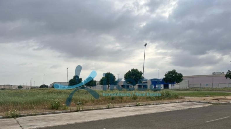 Seville - Alcalá de Guadaíra - 259m2