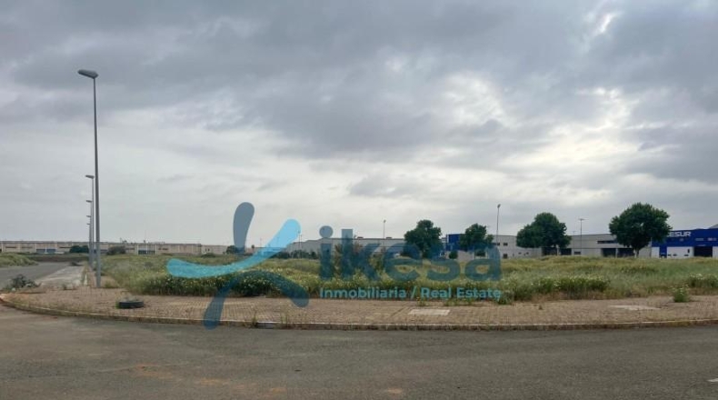 Seville - Alcalá de Guadaíra - 259m2