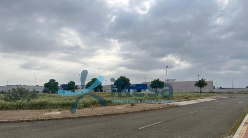 Seville - Alcalá de Guadaíra - 259m2
