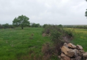Non-developable land for sale on España, Torrecaballeros, ref: TR405749 photo