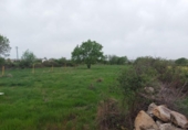 Non-developable land for sale on España, Torrecaballeros, ref: TR405749 photo