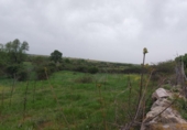Non-developable land for sale on España, Torrecaballeros, ref: TR405749 photo