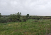 Non-developable land for sale on España, Torrecaballeros, ref: TR405749 photo