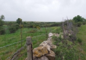 Non-developable land for sale on España, Torrecaballeros, ref: TR405749 photo