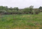 Non-developable land for sale on España, Torrecaballeros, ref: TR405749 photo