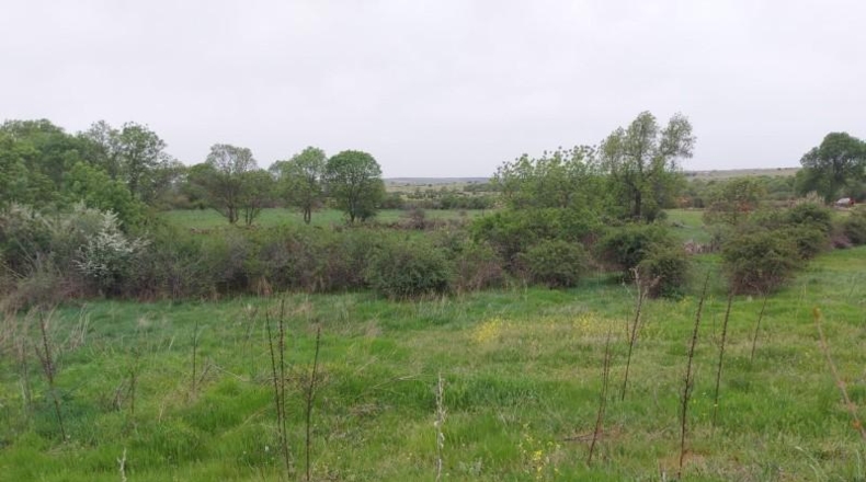 Segovia - Torrecaballeros - 860m2