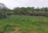 Non-developable land for sale on España, Torrecaballeros, ref: TR405749 photo