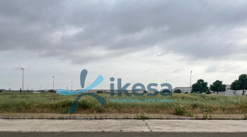 Seville - Alcalá de Guadaíra - 419m2