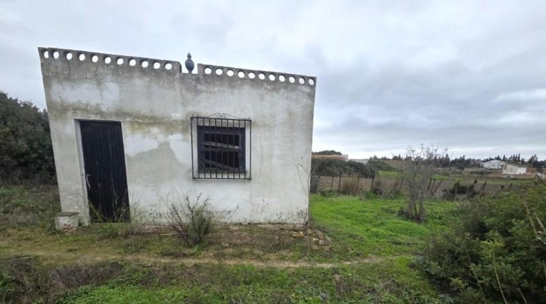 Cádiz - Chiclana de la Frontera - 983m2