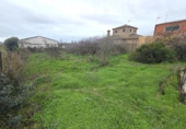 Terreny no urbanitzable en venda a la España, Chiclana de la Frontera, ref.: TR378540 foto