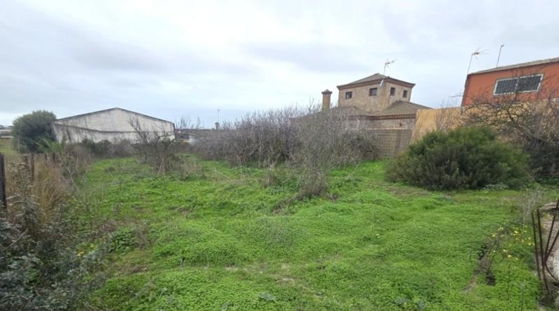Cádiz - Chiclana de la Frontera - 983m2