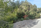 Urban land for sale on España, Alberic, ref: TR405760 photo