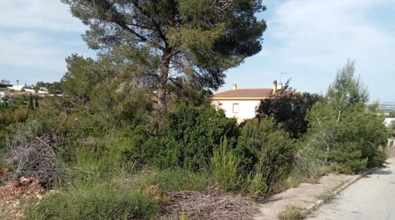 Valencia - Alberic - 1756m2
