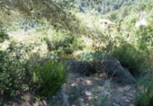 Urban land for sale on España, Oliva, ref: TR324690 photo