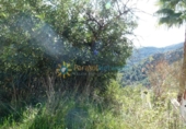 Urban land for sale on España, Oliva, ref: TR324690 photo
