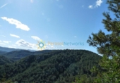 Urban land for sale on España, Oliva, ref: TR324690 photo