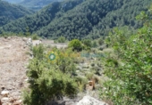 Urban land for sale on España, Oliva, ref: TR324690 photo