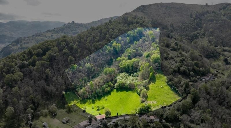Asturias - Mieres - 32000m2