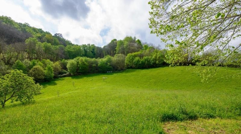 Asturias - Mieres - 32000m2
